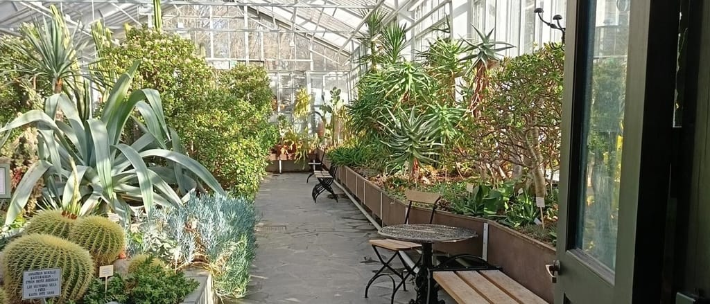 Vinterträdgården