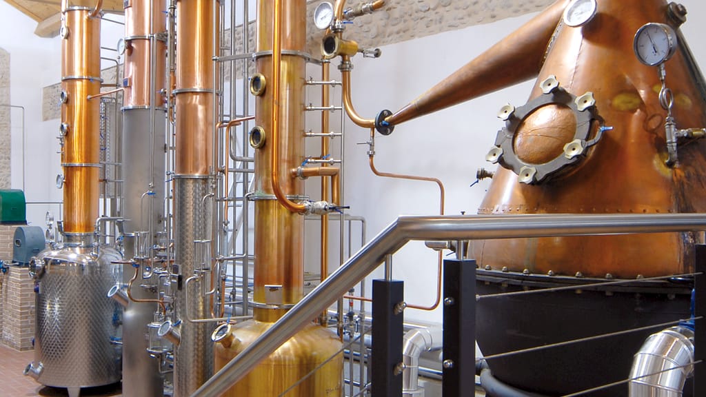 Grappa Prosecco