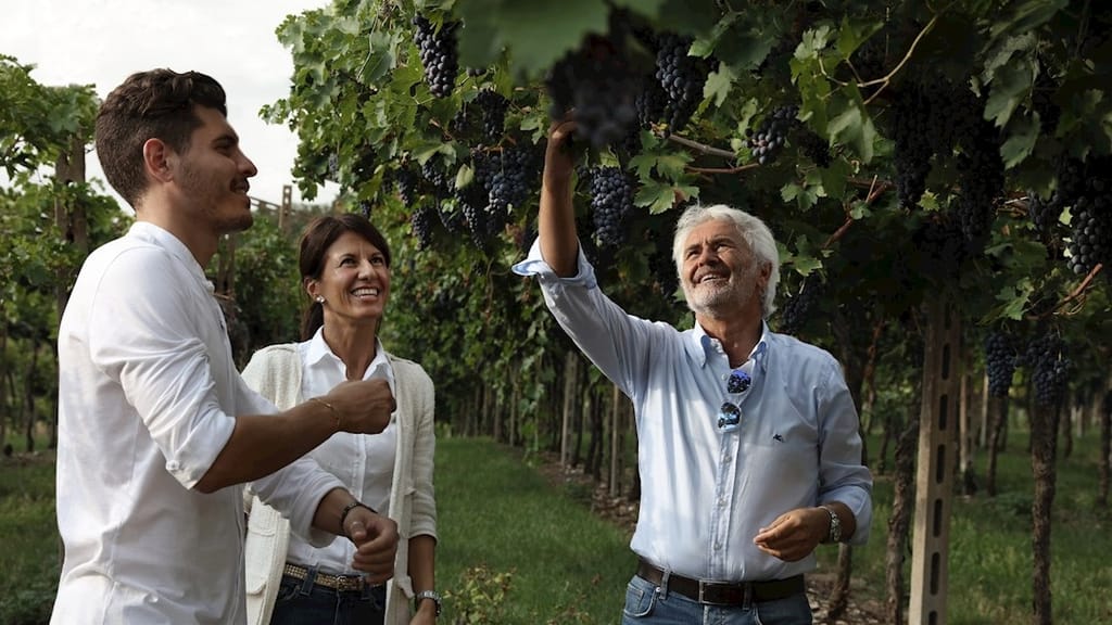 Amarone Antica