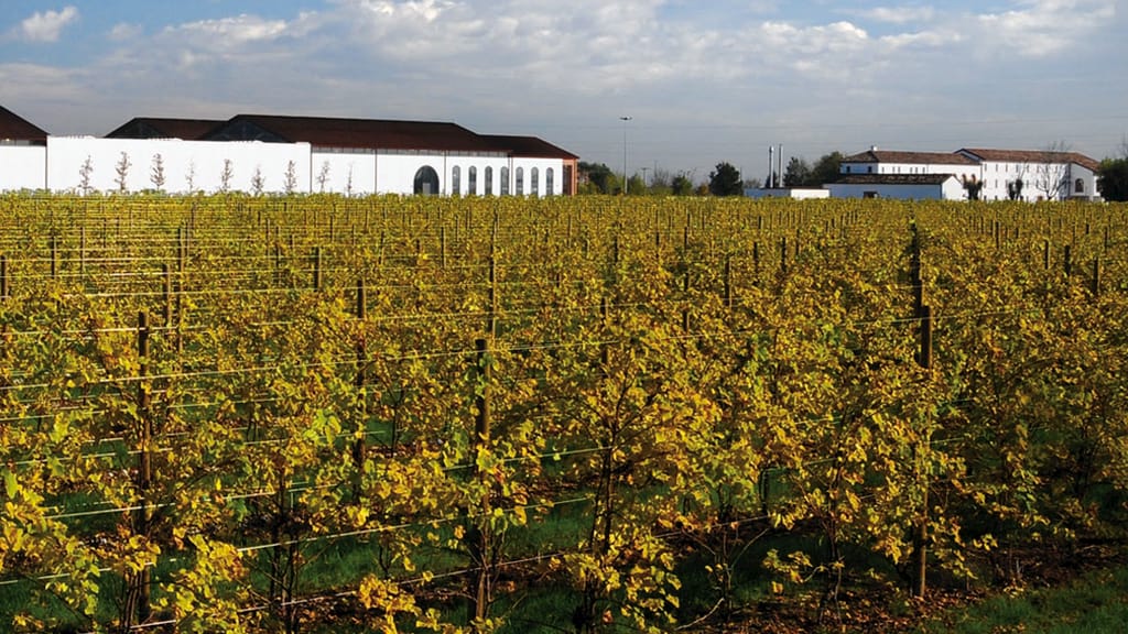 Chianti Classico Riserva DOCG