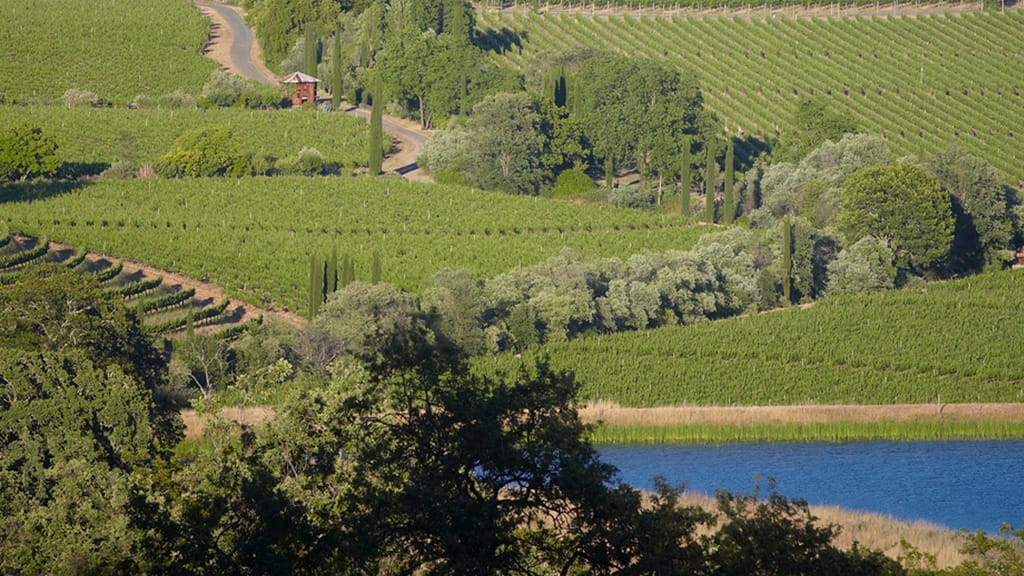 Bonterra Zinfandel