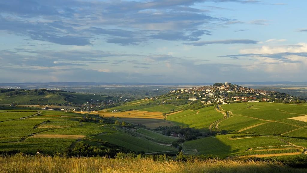 Pouilly Fume La Forge
