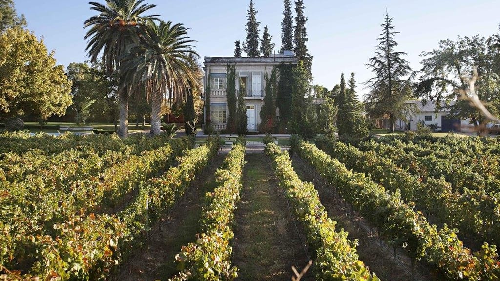 De Sangre Cabernet Franc
