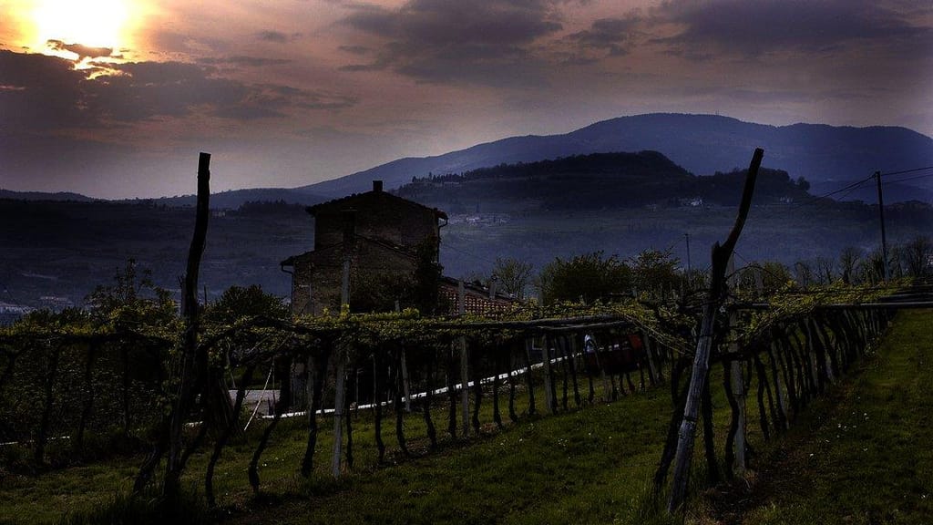 Levarie Soave Classico DOC