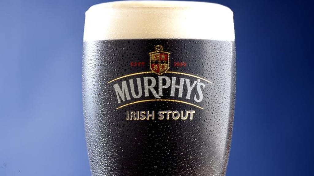 Murphy's Stout 24-pack