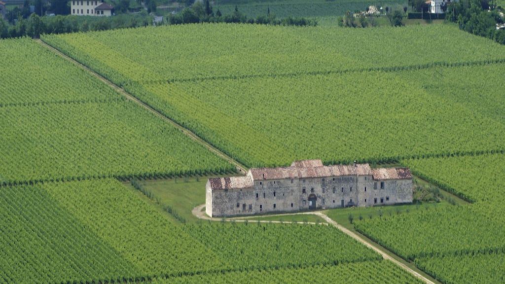 Masseria Surani Negroamaro