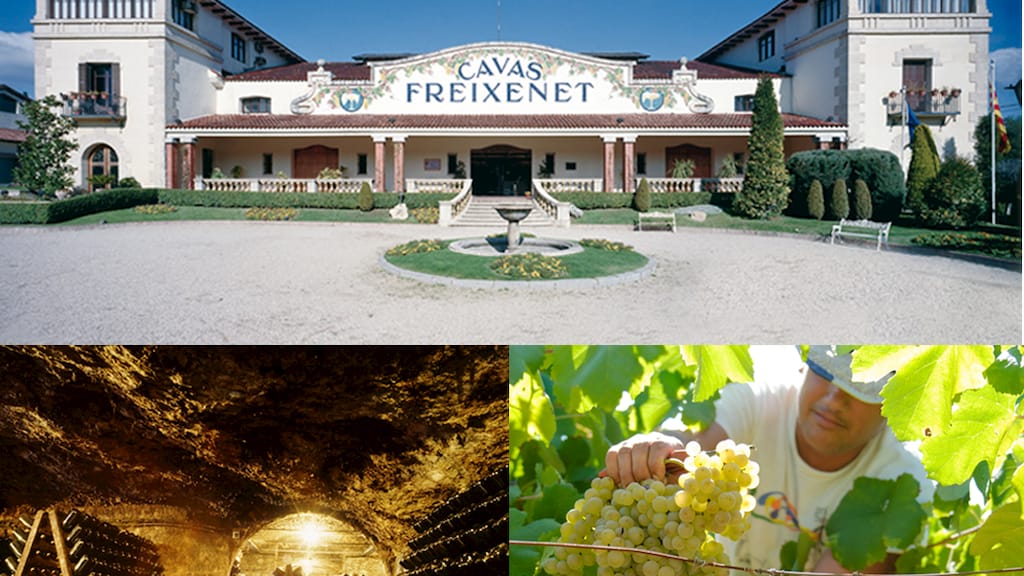 Freixenet Chianti D.O.C.G.