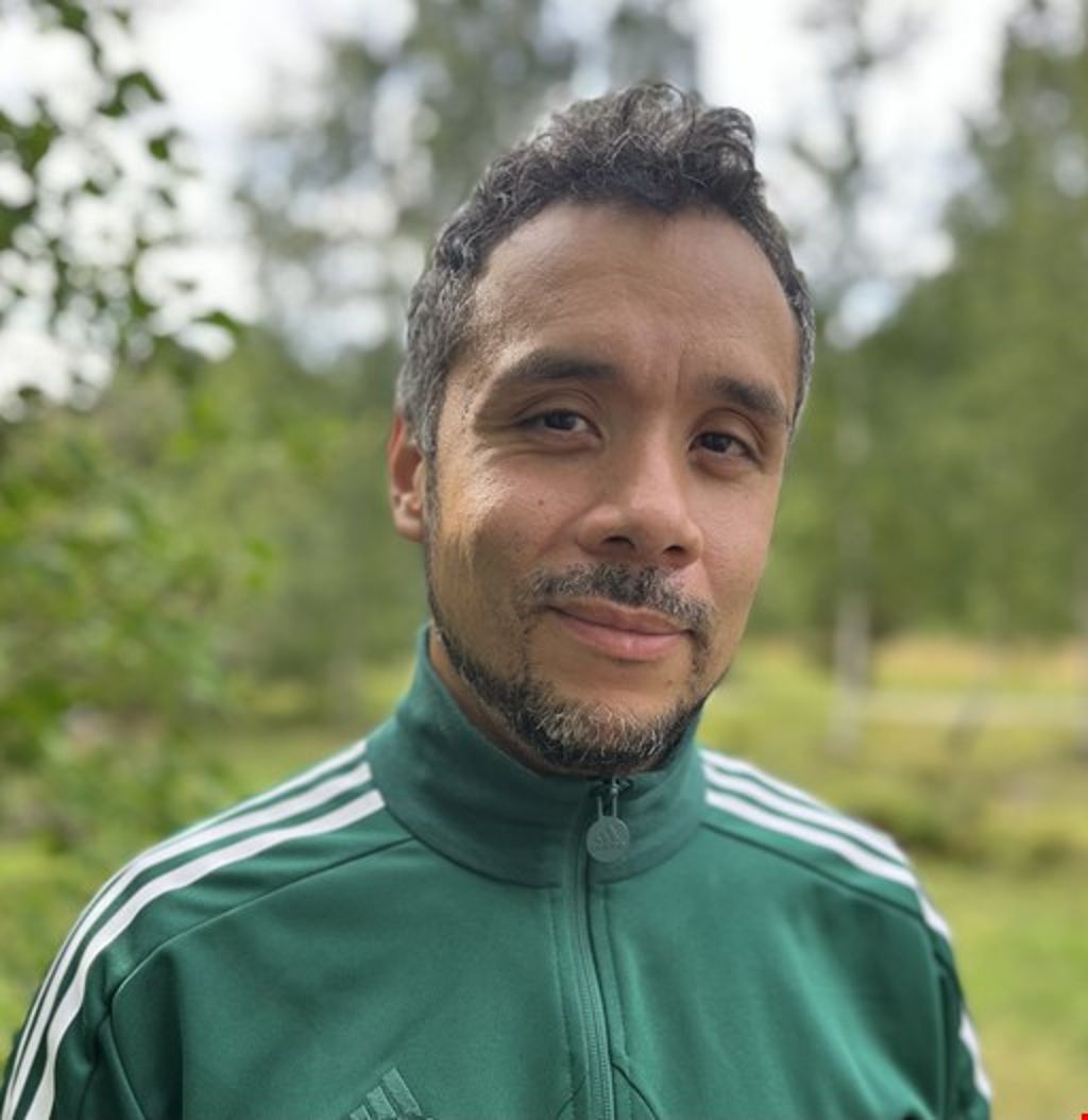 Henrik Gellin
