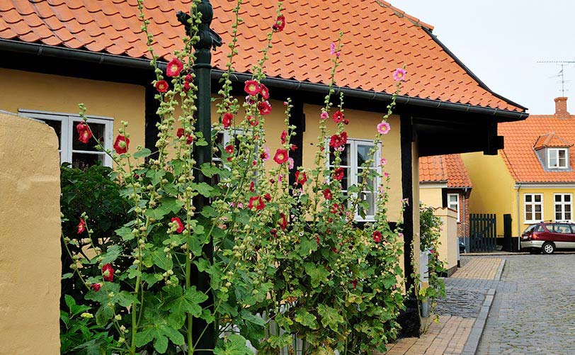 Kryssning till Bornholm och Visby - Kryssa från Stockholm | Viking Line